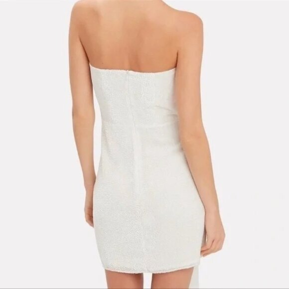 Michelle Mason Velvet Silk Blend Burnout Strapless Mini Dress - Picture 4 of 11